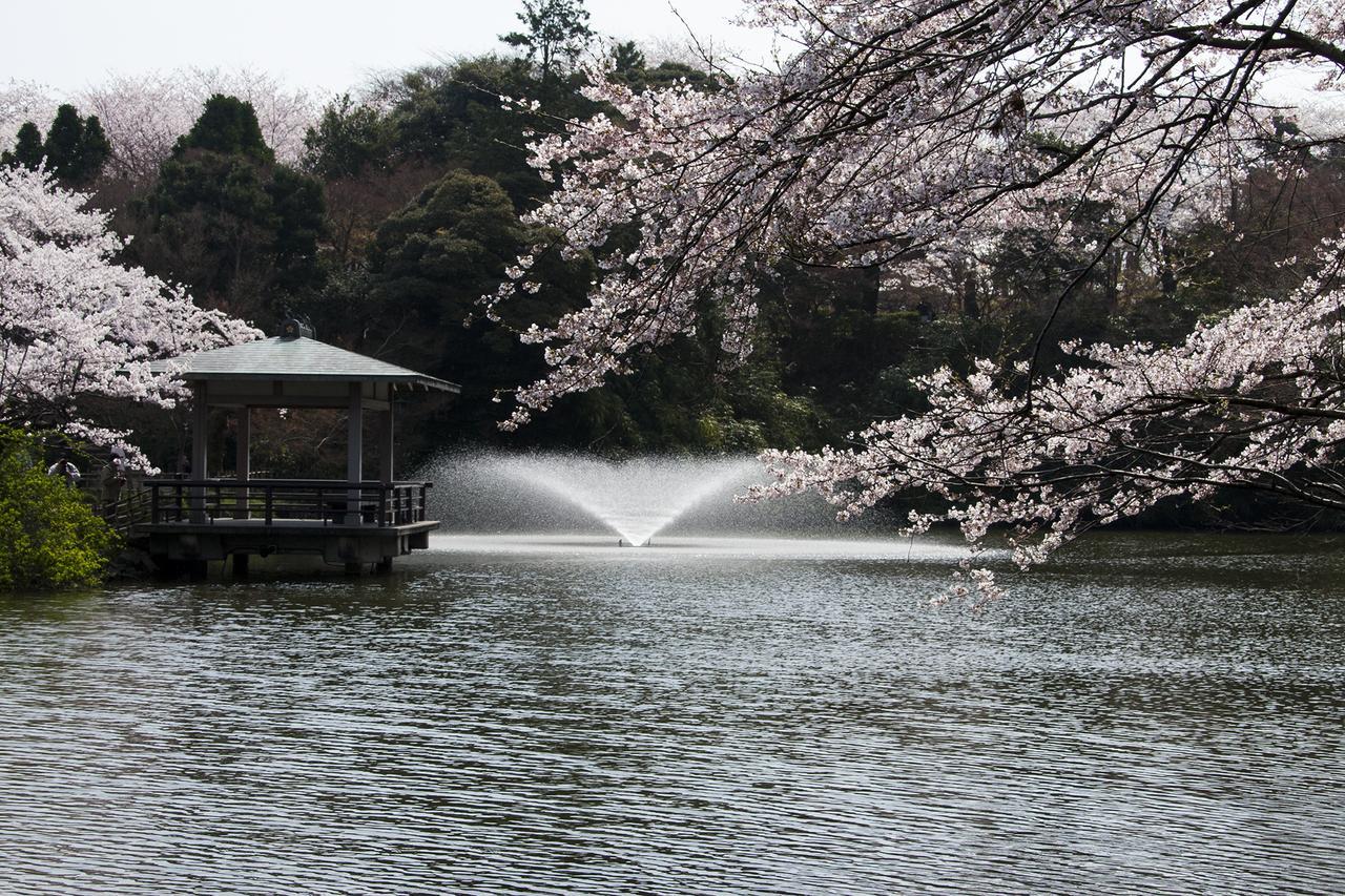 Maidohaya Fukutatei Villa Takaoka Exterior foto